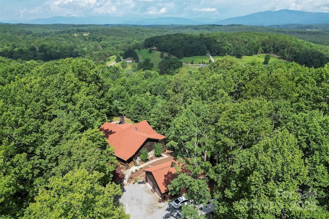 279 Outback Trl, Nebo, NC 28761 - bird's eye view of a forest