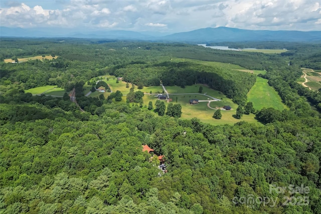 279 Outback Trl, Nebo, NC 28761 - view of property location featuring a forest and mountains