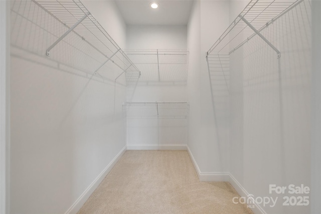 521 Tram Rd, Lancaster, SC 29720 - spacious closet featuring carpet floors