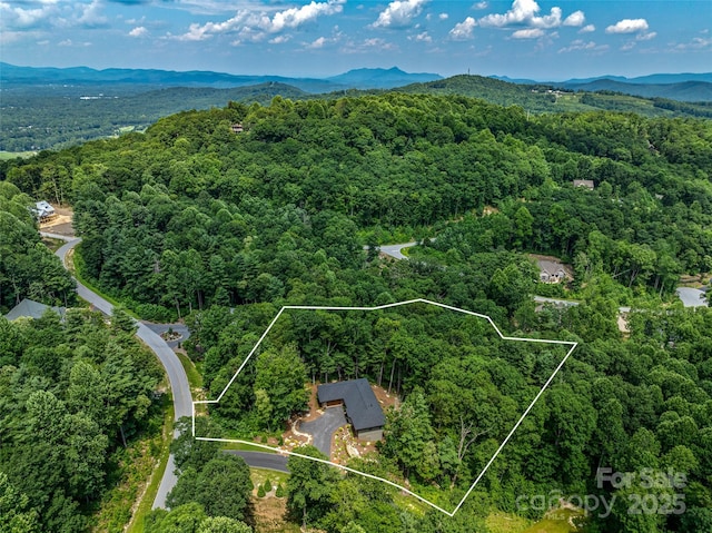 23 Haverhill Ct, Flat Rock, NC 28731 - aerial overview of property's location with property boundaries highlighted and mountains