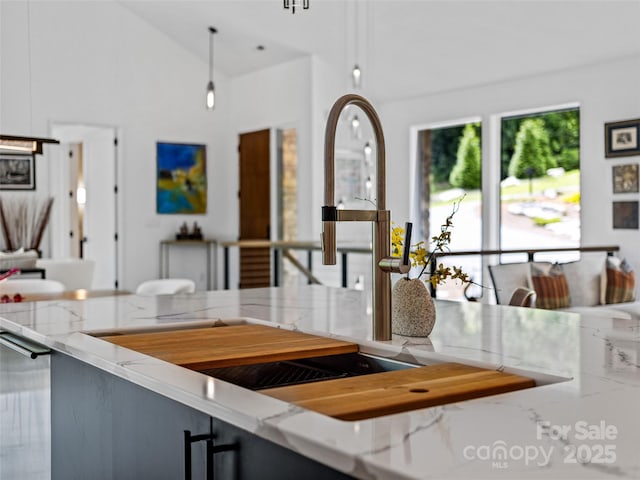 23 Haverhill Ct, Flat Rock, NC 28731 - kitchen featuring light stone counters and a towering ceiling