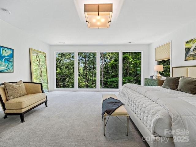 23 Haverhill Ct, Flat Rock, NC 28731 - carpeted bedroom featuring multiple windows