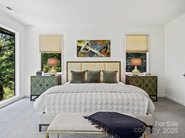 23 Haverhill Ct, Flat Rock, NC 28731 - bedroom featuring carpet floors and baseboards