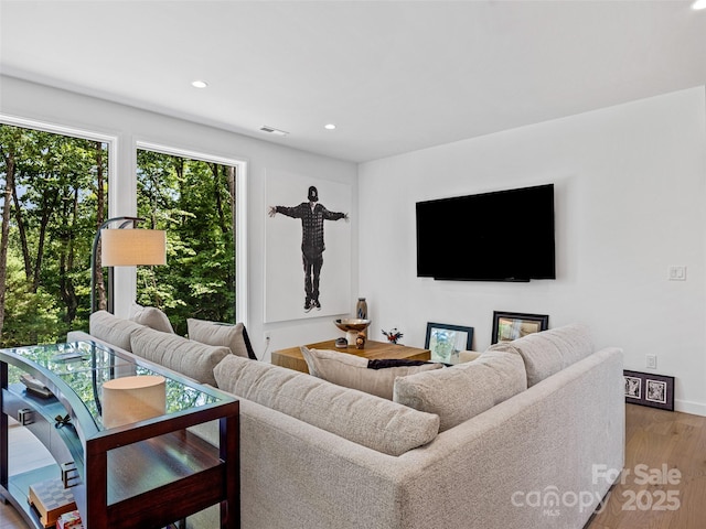 23 Haverhill Ct, Flat Rock, NC 28731 - living room featuring wood finished floors and recessed lighting