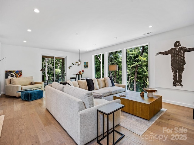 23 Haverhill Ct, Flat Rock, NC 28731 - living room featuring light wood-style floors and recessed lighting