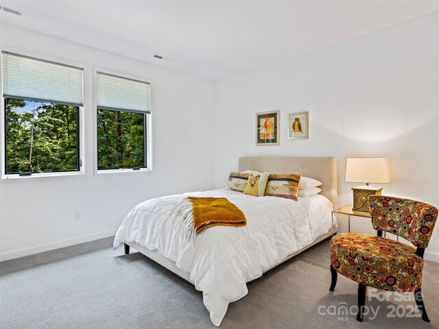 23 Haverhill Ct, Flat Rock, NC 28731 - carpeted bedroom with baseboards