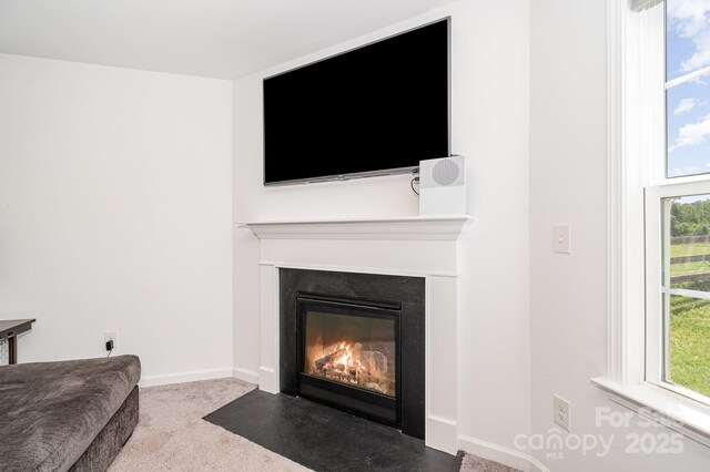 1026 Baileys Chapel Rd, Advance, NC 27006 - detailed view of a fireplace with flush hearth and carpet floors