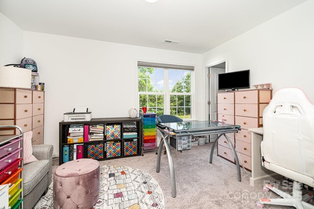 1026 Baileys Chapel Rd, Advance, NC 27006 - rec room featuring carpet