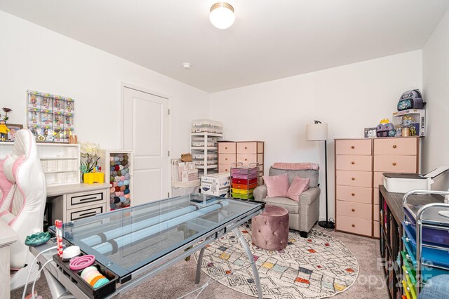 1026 Baileys Chapel Rd, Advance, NC 27006 - playroom with carpet flooring