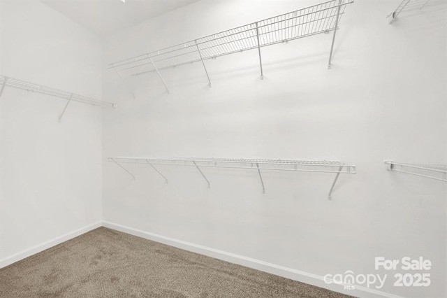 16280 Raven Crest Dr, Fort Mill, SC 29707 - photo 15