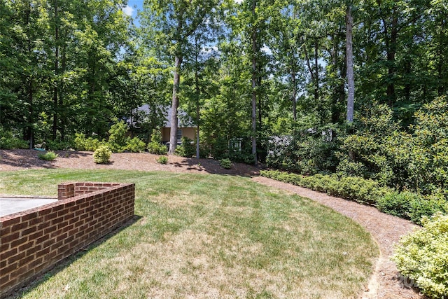 6716 Southby Ct, Charlotte, NC 28270 - view of grassy yard