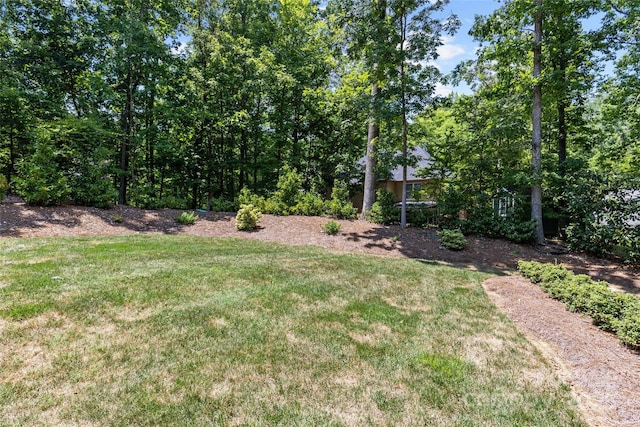 6716 Southby Ct, Charlotte, NC 28270 - view of green lawn
