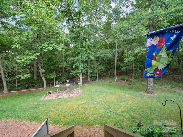 3911 Doster Rd, Monroe, NC 28112 - photo 34