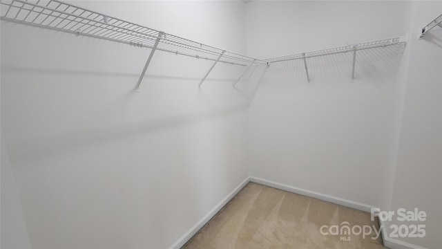 10205 Garrett Grigg Rd, Charlotte, NC 28262 - photo 15