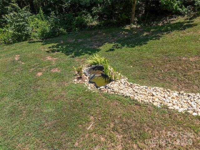 334 Arbra Mountain Way, Bostic, NC 28018 - view of green lawn