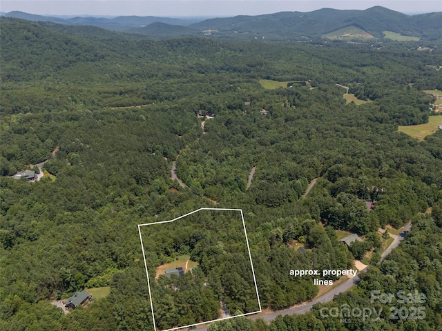 334 Arbra Mountain Way, Bostic, NC 28018 - aerial overview of property's location with property boundaries highlighted and mountains
