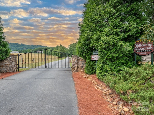 334 Arbra Mountain Way, Bostic, NC 28018 - view of gate