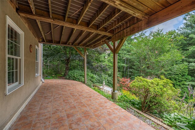 24 Moriah Ln, Asheville, NC 28803 - photo 37