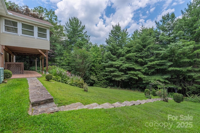 24 Moriah Ln, Asheville, NC 28803 - photo 43
