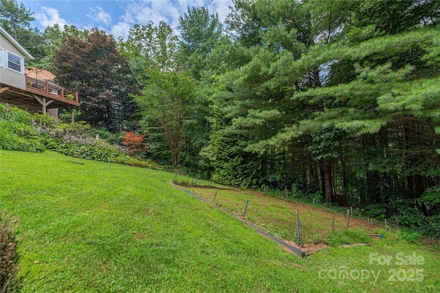 24 Moriah Ln, Asheville, NC 28803 - photo 44