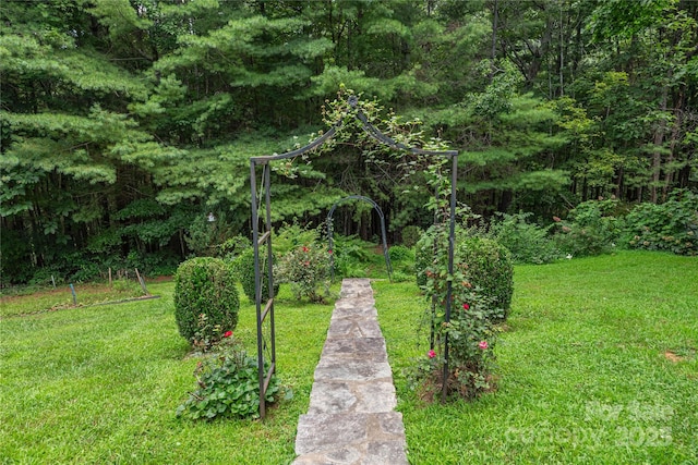 24 Moriah Ln, Asheville, NC 28803 - photo 45