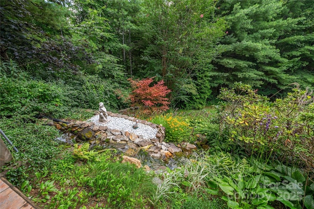 24 Moriah Ln, Asheville, NC 28803 - photo 46