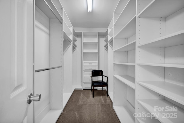 5138 Foxbriar Trl, Charlotte, NC 28269 - spacious closet featuring dark colored carpet
