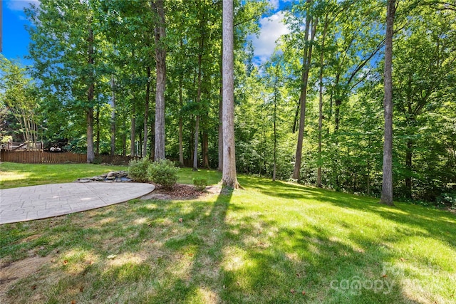 4103 Amber Leigh Way Dr, Charlotte, NC 28269 - photo 46