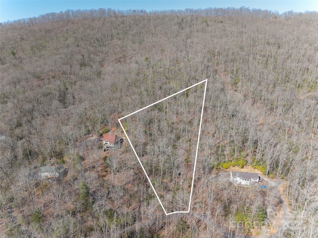 27 Alpen Rose Way, Mills River, NC 28759 - photo 1