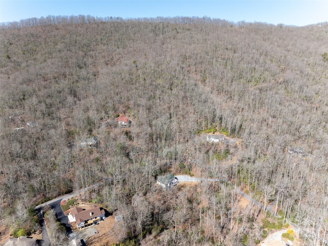 27 Alpen Rose Way, Mills River, NC 28759 - photo 2