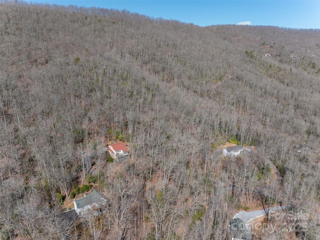 27 Alpen Rose Way, Mills River, NC 28759 - photo 3