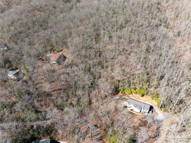 27 Alpen Rose Way, Mills River, NC 28759 - photo 4