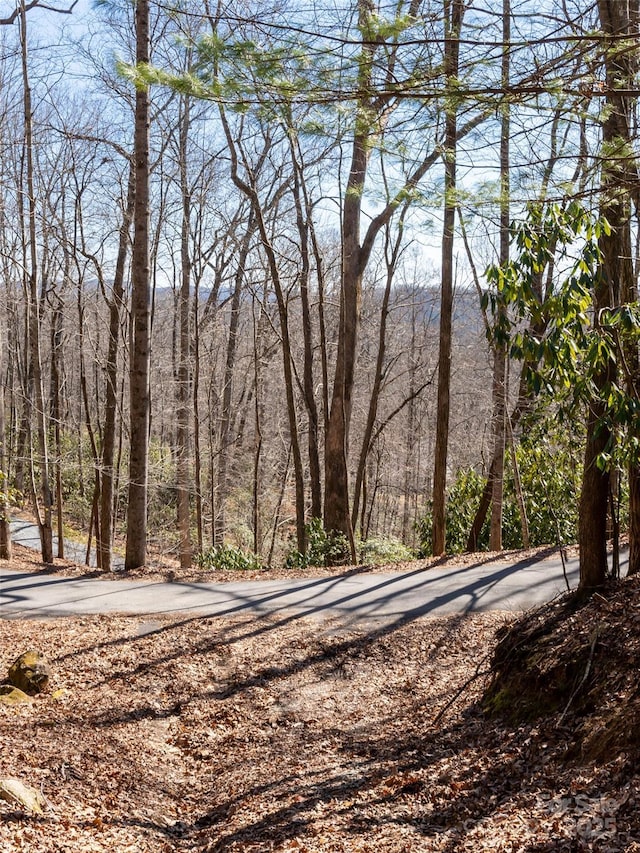 27 Alpen Rose Way, Mills River, NC 28759 - photo 5