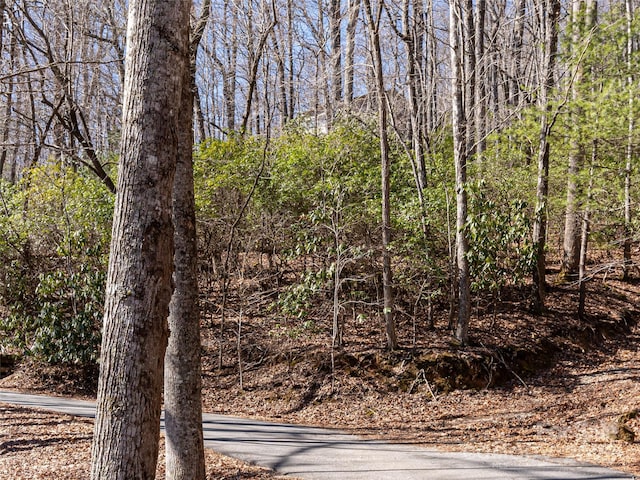 27 Alpen Rose Way, Mills River, NC 28759 - photo 6