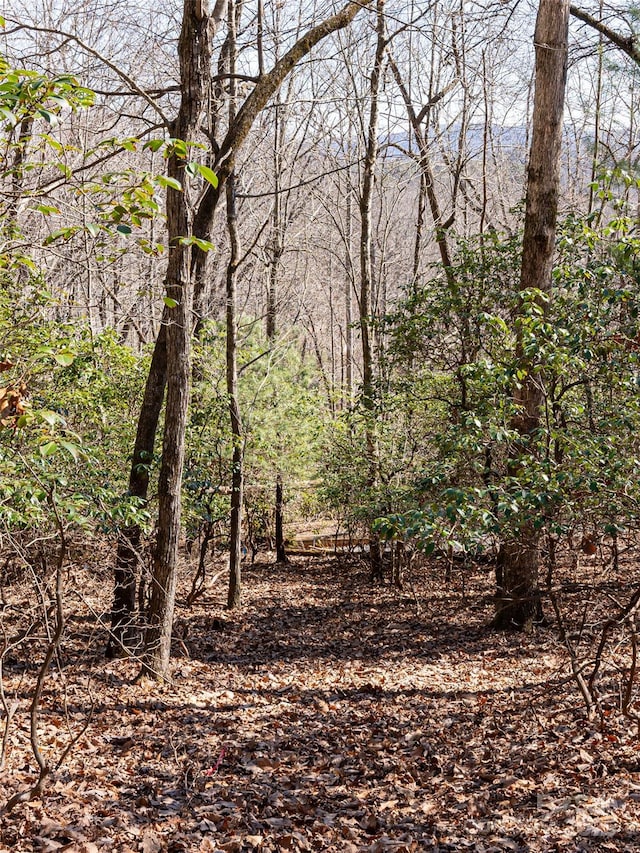 27 Alpen Rose Way, Mills River, NC 28759 - photo 16