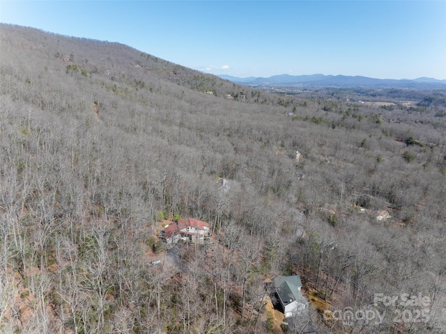 27 Alpen Rose Way, Mills River, NC 28759 - photo 21