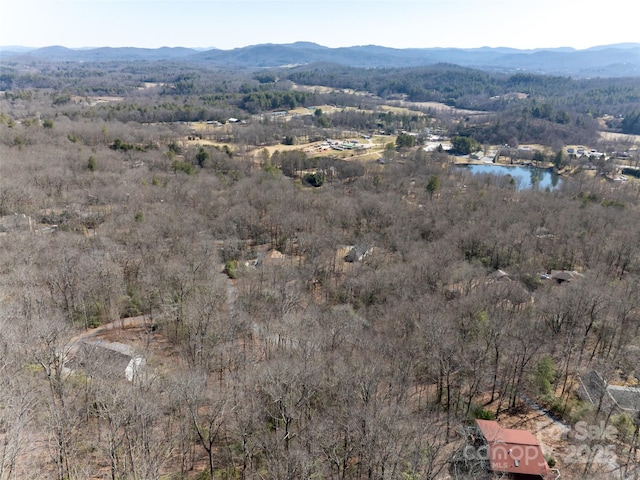 27 Alpen Rose Way, Mills River, NC 28759 - photo 22