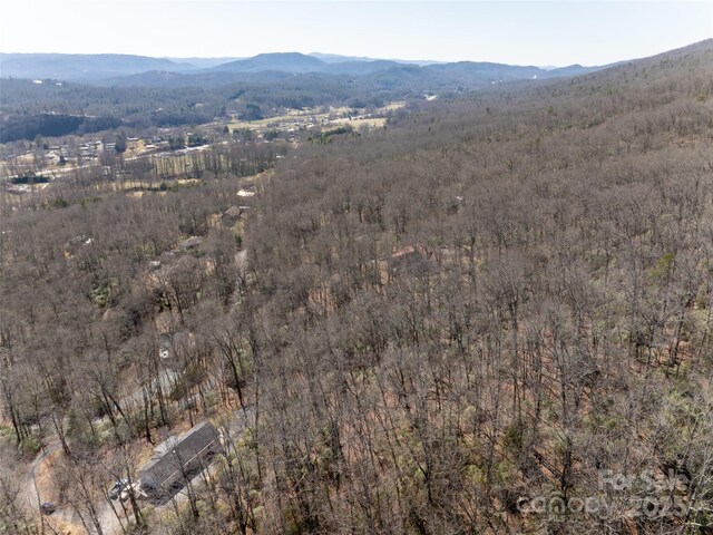 27 Alpen Rose Way, Mills River, NC 28759 - photo 23