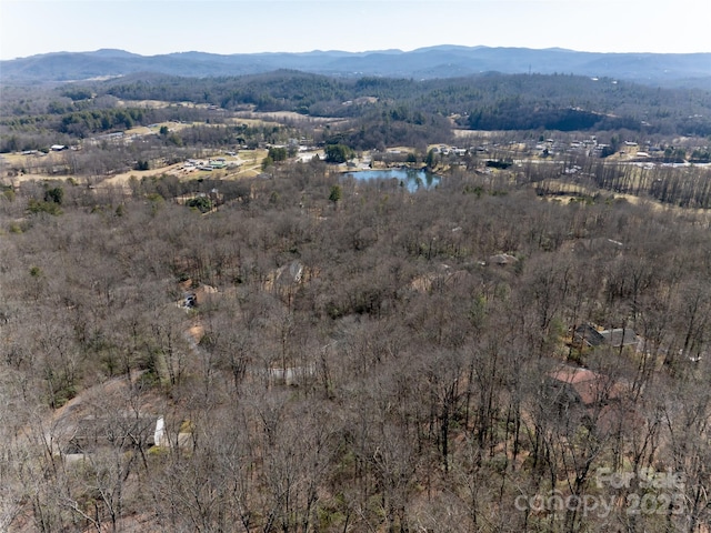 27 Alpen Rose Way, Mills River, NC 28759 - photo 24