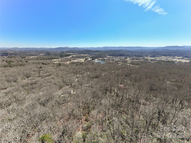 27 Alpen Rose Way, Mills River, NC 28759 - photo 25