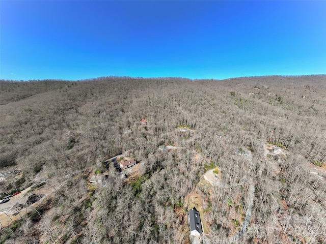 27 Alpen Rose Way, Mills River, NC 28759 - photo 26