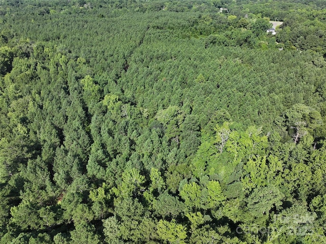 000 Chesterfield Rd, Wadesboro, NC 28170 - photo 4