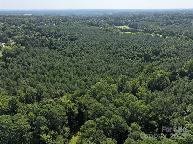 000 Chesterfield Rd, Wadesboro, NC 28170 - photo 5
