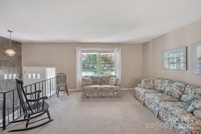 25 Hazel Ct, Brevard, NC 28712 - living area with carpet flooring and a textured ceiling