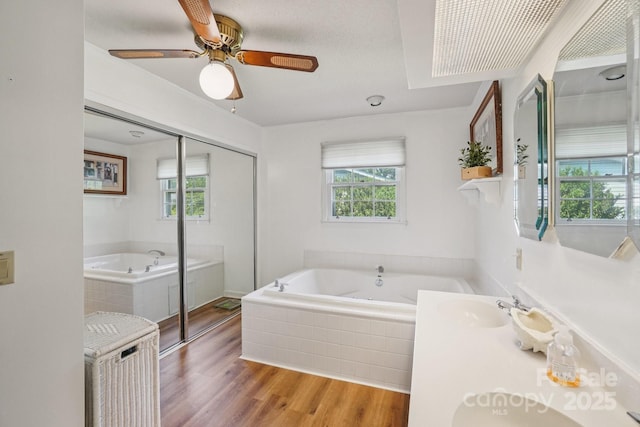 25 Hazel Ct, Brevard, NC 28712 - full bath with plenty of natural light, a bath, wood finished floors, and vanity
