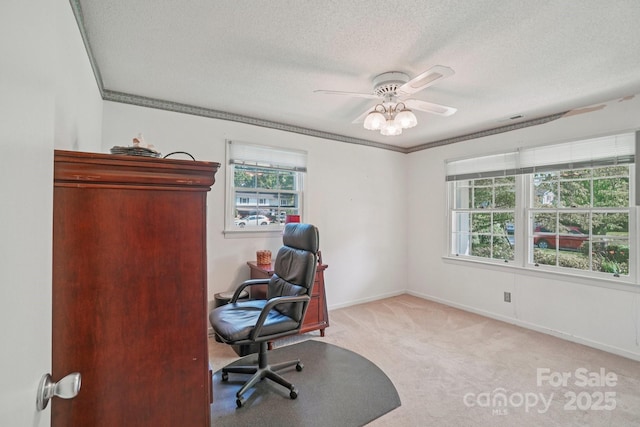 25 Hazel Ct, Brevard, NC 28712 - office with a textured ceiling, carpet flooring, a ceiling fan, and crown molding