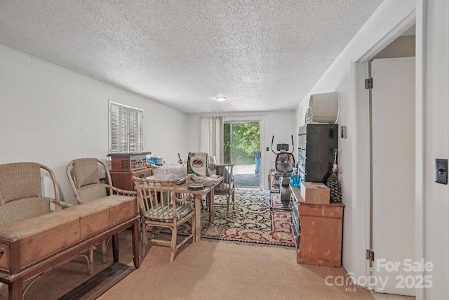 25 Hazel Ct, Brevard, NC 28712 - living area with light colored carpet and a textured ceiling