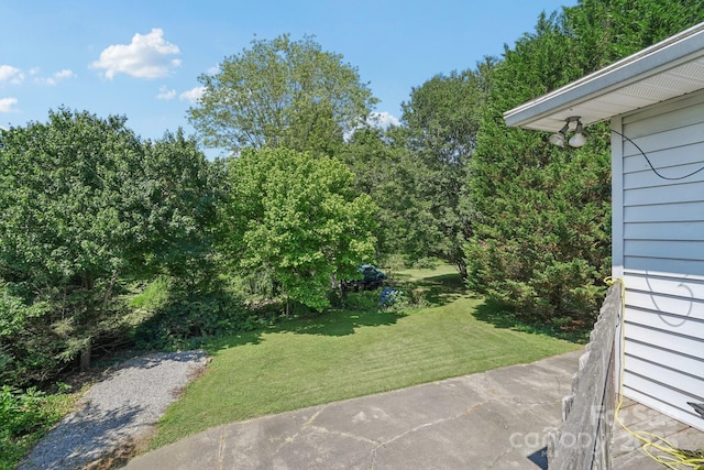 25 Hazel Ct, Brevard, NC 28712 - view of green lawn