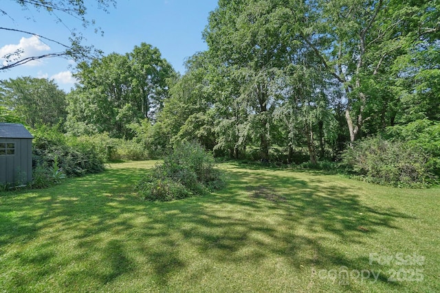 25 Hazel Ct, Brevard, NC 28712 - view of green lawn with a storage shed and a forest view