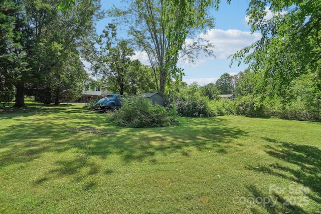 25 Hazel Ct, Brevard, NC 28712 - view of grassy yard